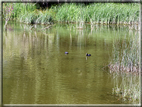 foto Lago di Terlago